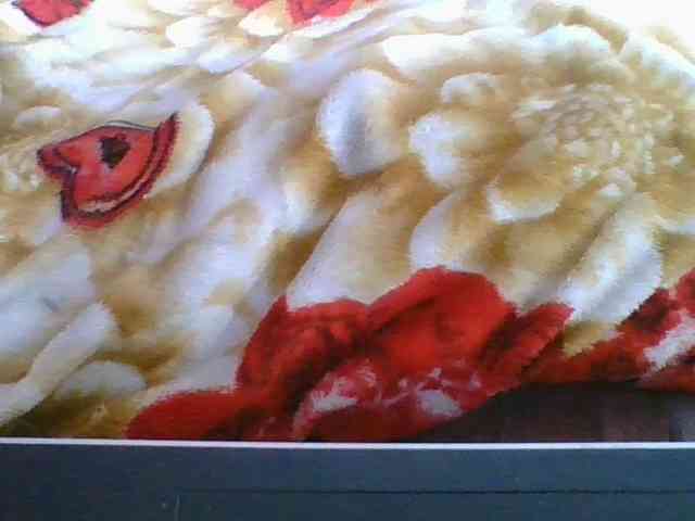 Marinah1a webcam