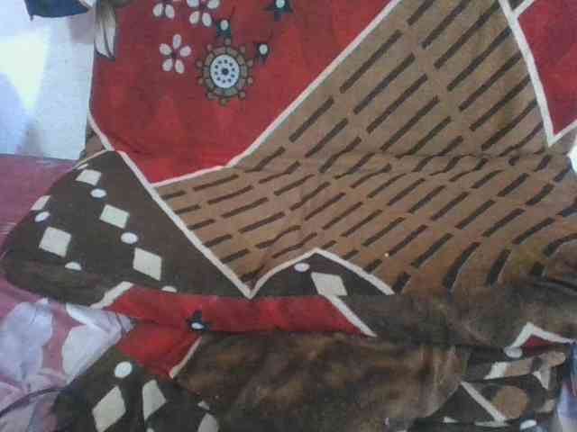 Marinah1a