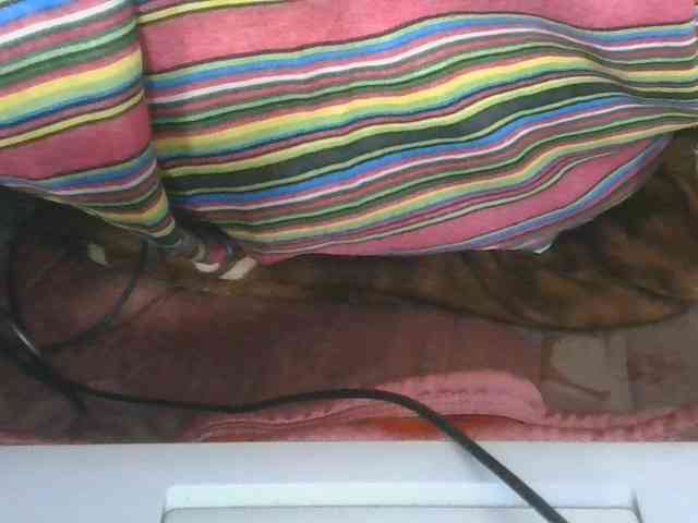 Marinah1a webcam