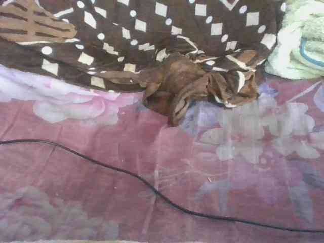 Marinah1a webcam