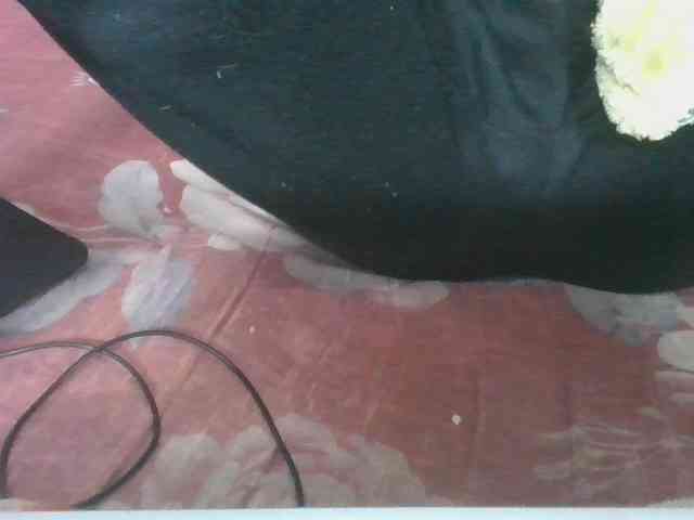 Marinah1a webcam