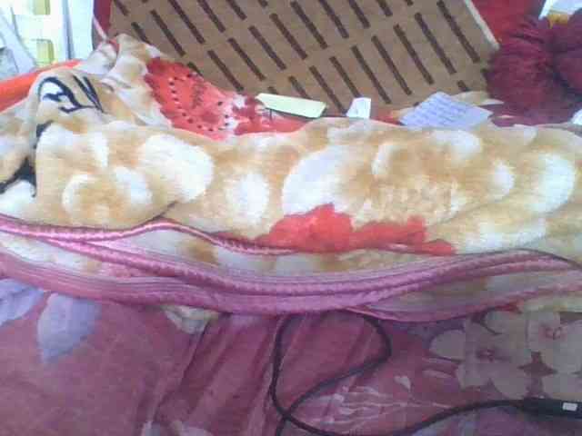 Marinah1a webcam