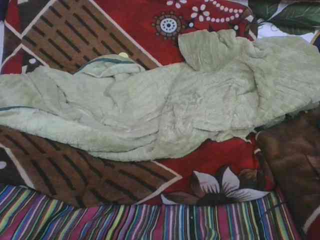 Marinah1a