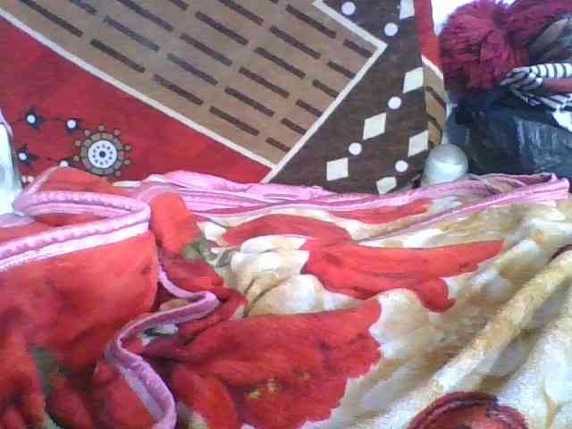 Marinah1a