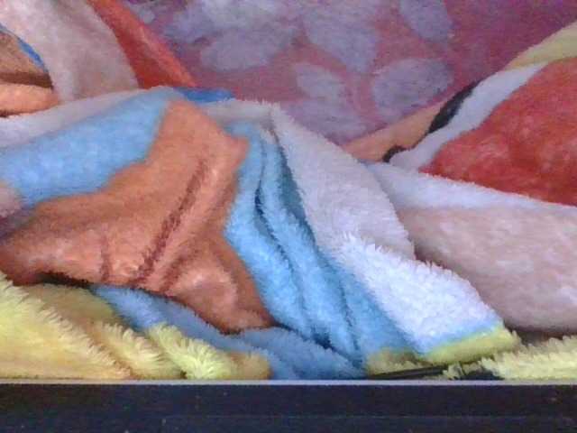 Phaniah1a live cam on BongaCams