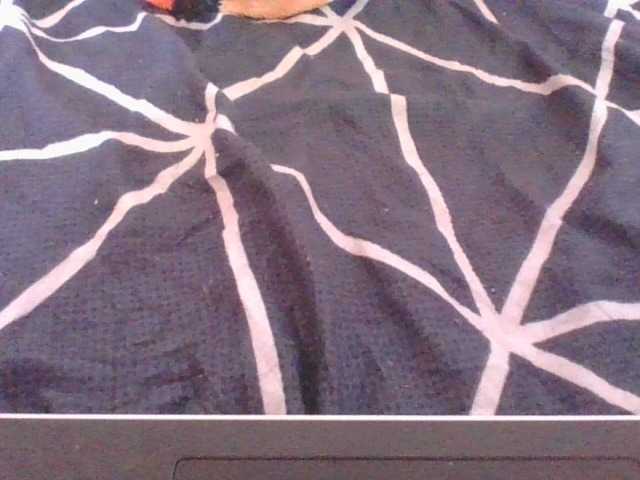 Phaniah1a live cam on BongaCams