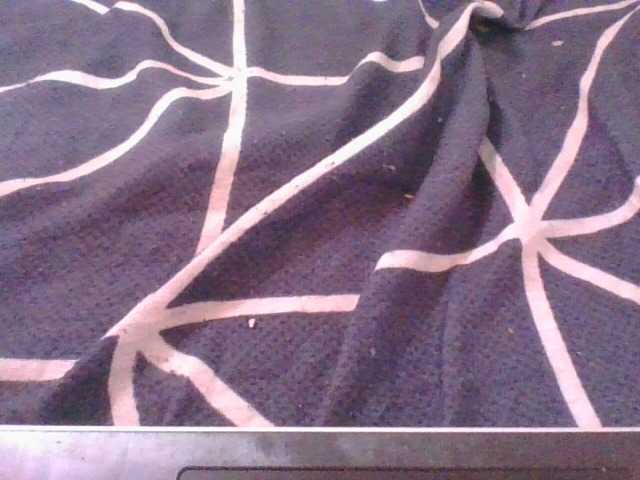 Phaniah1a live cam on BongaCams