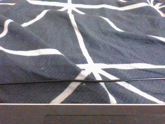 Phaniah1a live cam on BongaCams