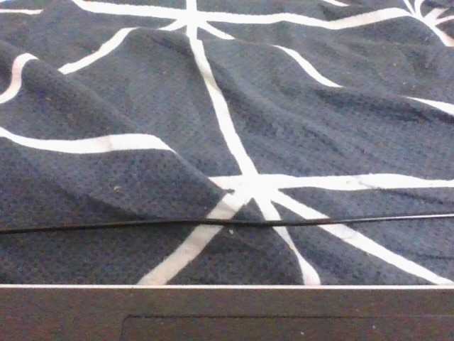 Phaniah1a live cam on BongaCams