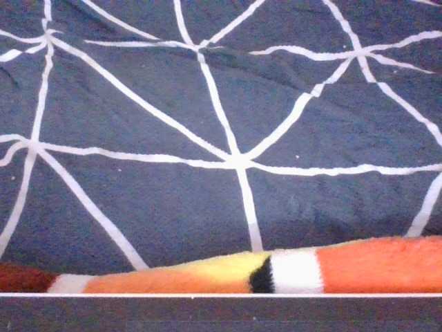 Phaniah1a live cam preview