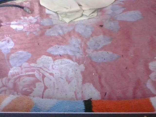 Phaniah1a live cam on BongaCams