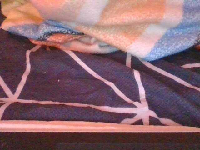 Phaniah1a live cam on BongaCams