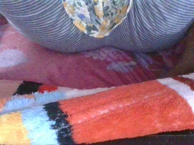 Preview of phaniah1a