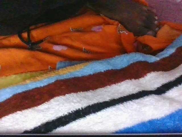 Phaniah1a