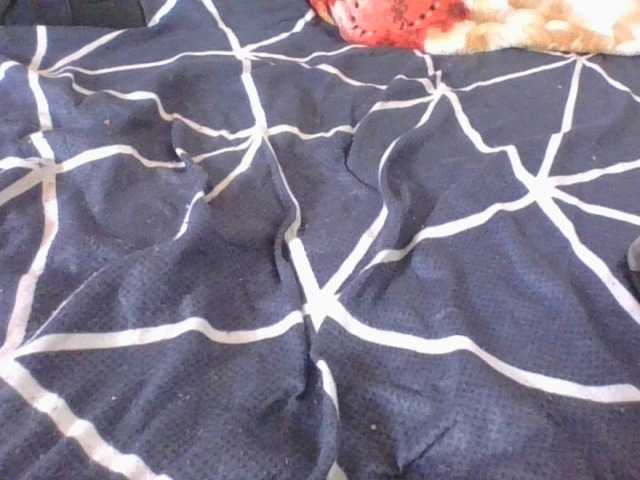 Phaniah1a live cam on BongaCams