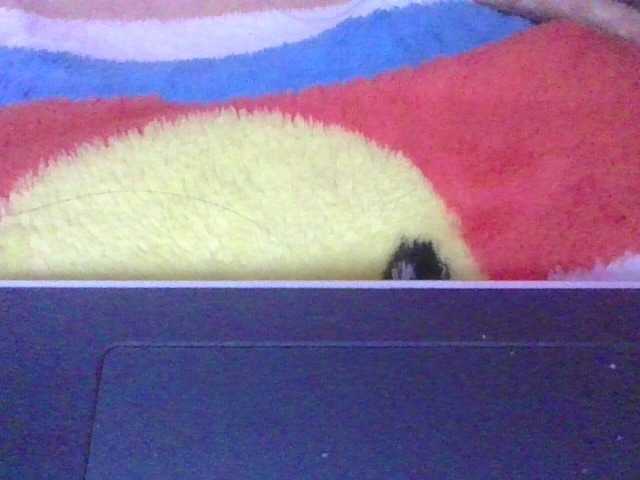 Preview of phaniah1a