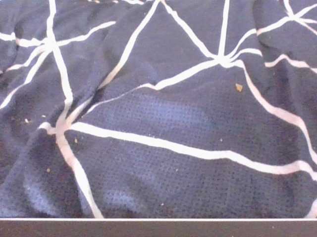 Phaniah1a live cam on BongaCams