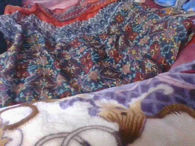 Phaniah1a live cam on BongaCams
