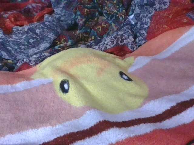 Phaniah1a live cam on BongaCams