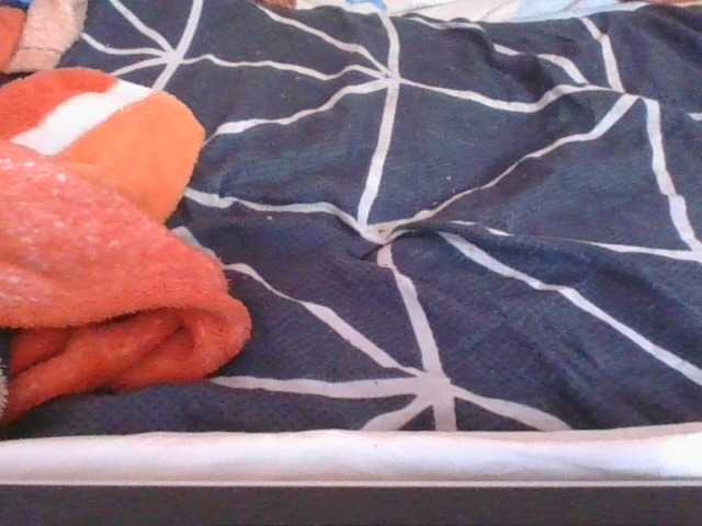 Phaniah1a live cam on BongaCams