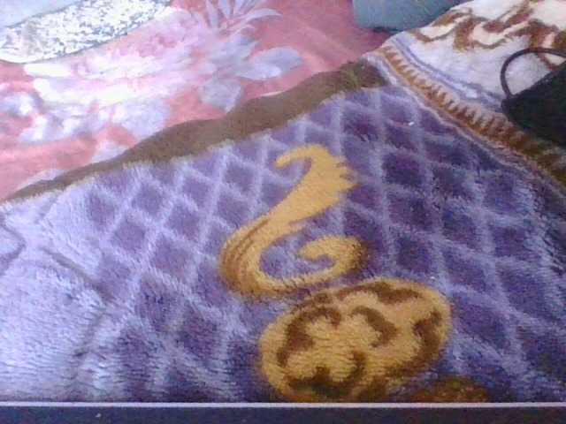 Phaniah1a live cam on BongaCams