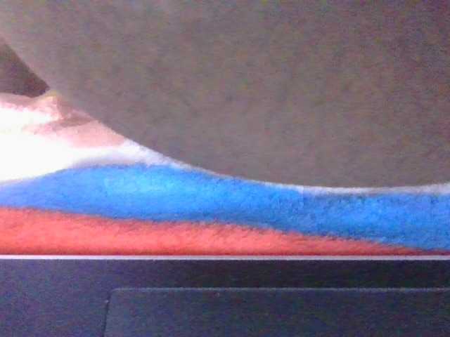 Preview of phaniah1a