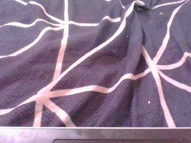Phaniah1a live cam on BongaCams