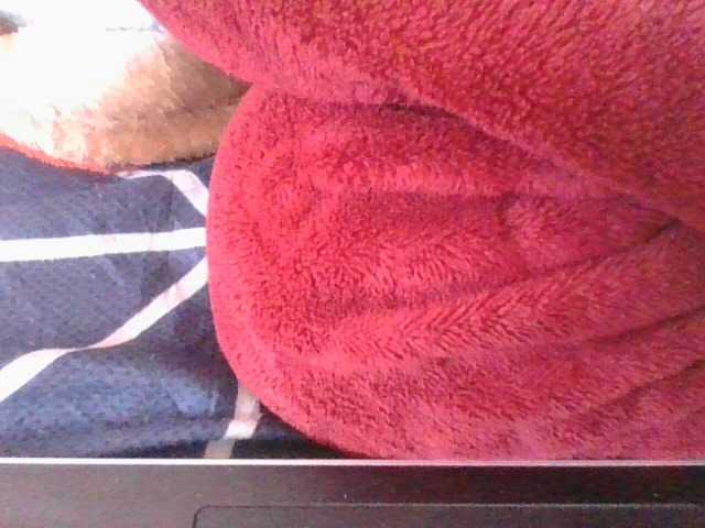 Phaniah1a live cam on BongaCams
