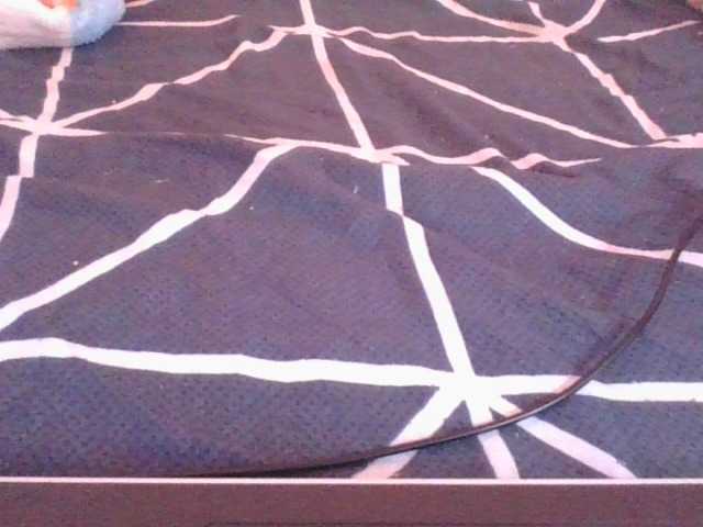 Phaniah1a live cam on BongaCams