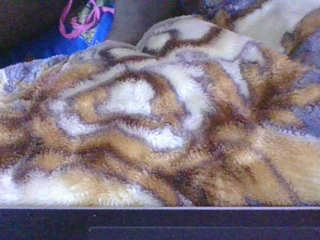 Phaniah1a live cam on BongaCams