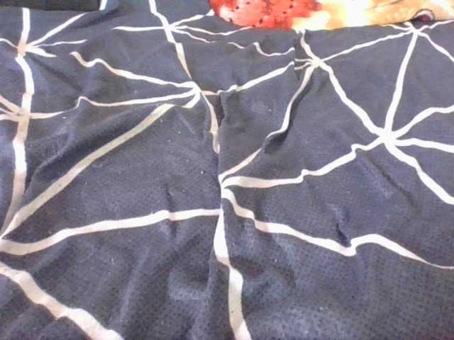 Phaniah1a live cam on BongaCams