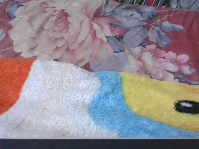 Phaniah1a live cam on BongaCams