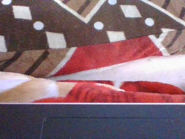 Phaniah1a live cam on BongaCams