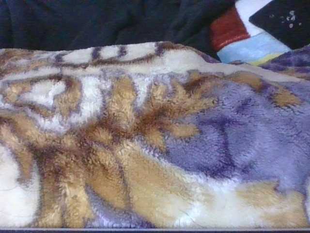 Phaniah1a live cam on BongaCams