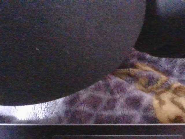 Phaniah1a live cam