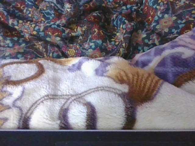 Phaniah1a live cam on BongaCams