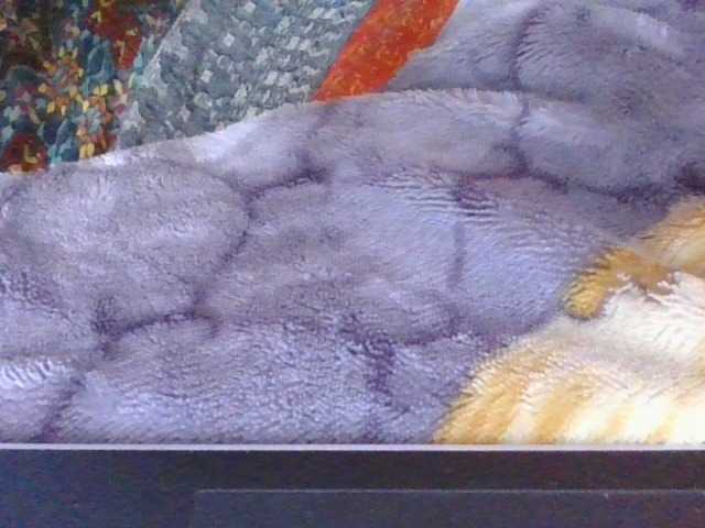 Phaniah1a live cam on BongaCams