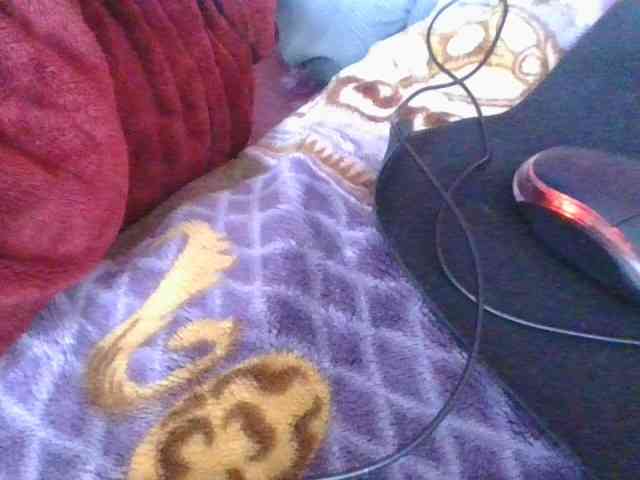 Phaniah1a webcam