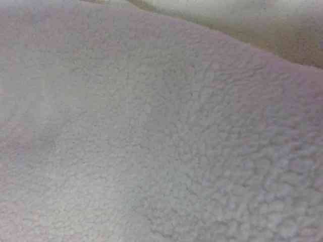 Phaniah1a webcam