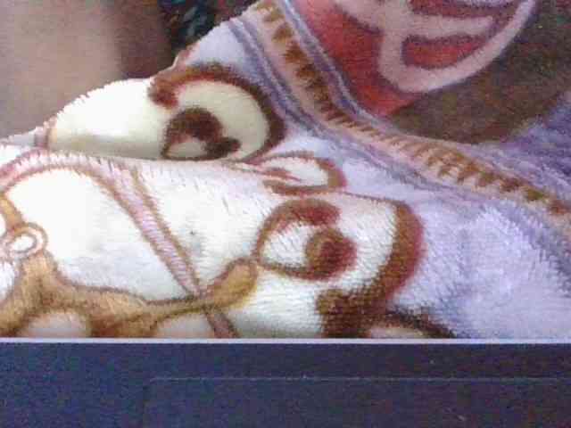 Phaniah1a webcam