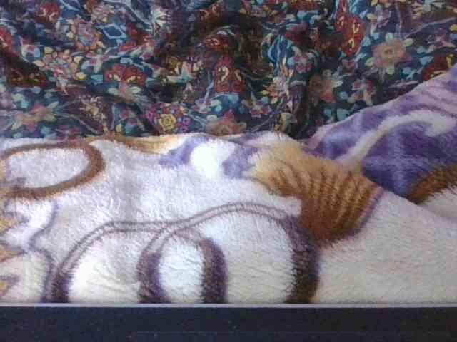 Phaniah1a webcam
