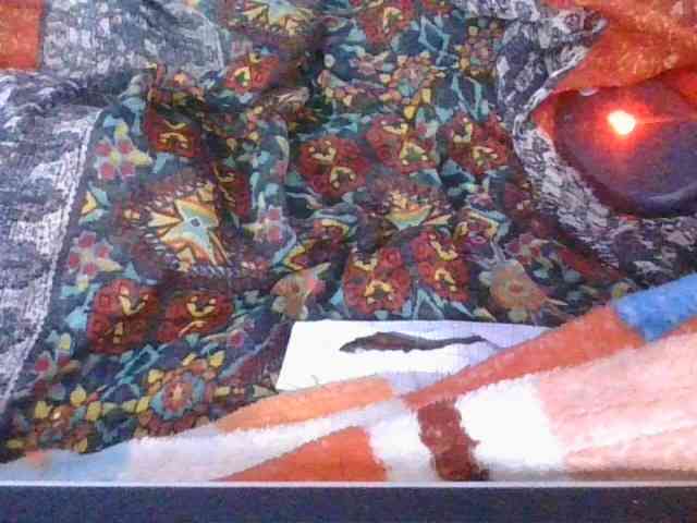 Phaniah1a webcam