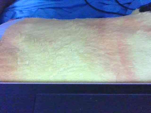 Phaniah1a webcam