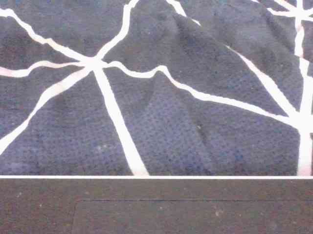 Phaniah1a webcam