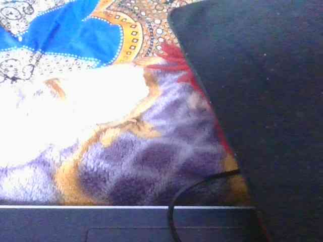 Phaniah1a webcam