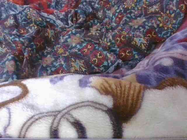 Phaniah1a webcam