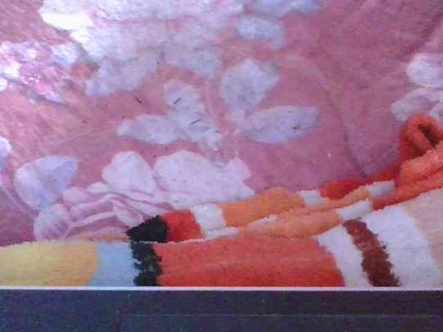 Phaniah1a webcam