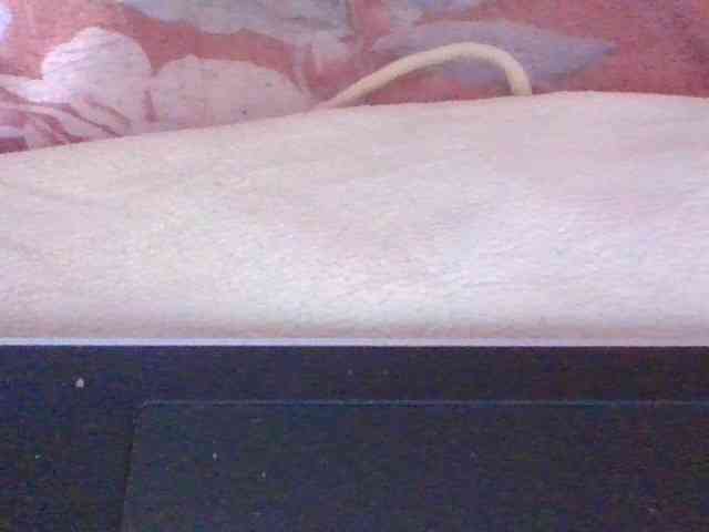 Phaniah1a webcam