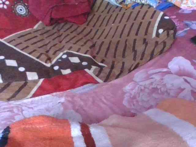 Phaniah1a webcam