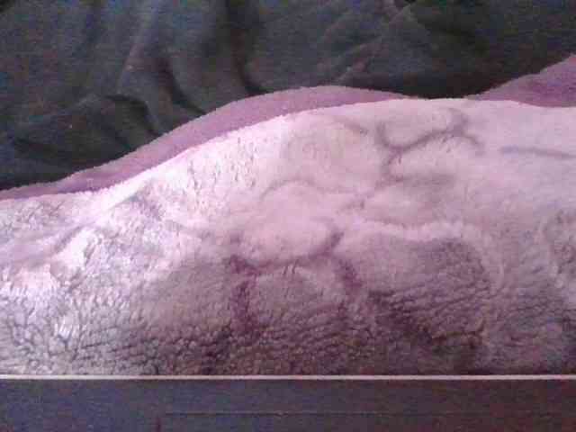 Phaniah1a webcam